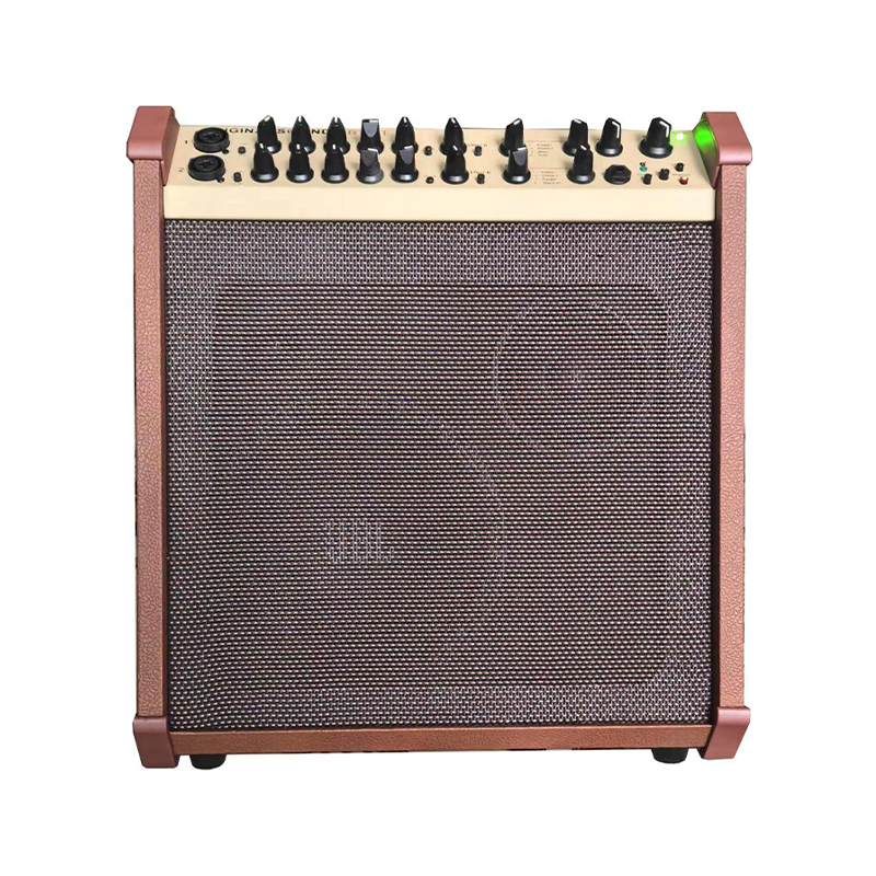 Acoustic Instrument Speakers