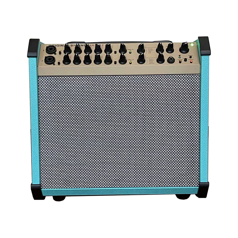 Acoustic Instrument Speakers OS-ACEQ140