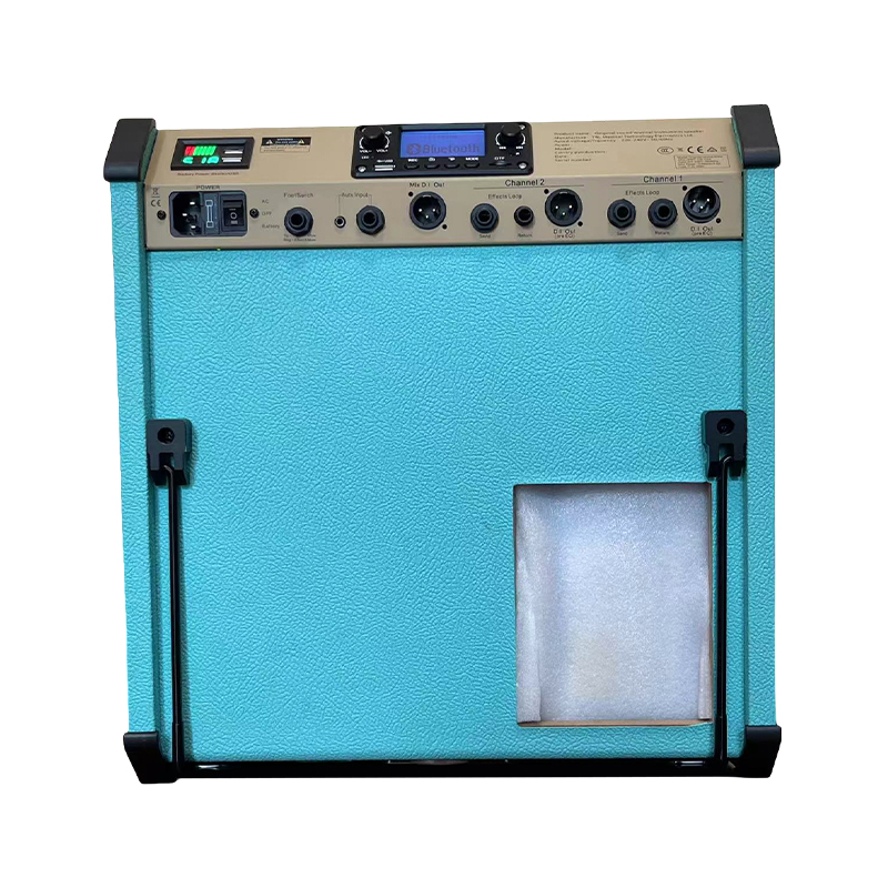 Acoustic Instrument Speakers OS-ACES140