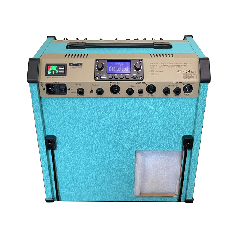 Acoustic Instrument Speakers