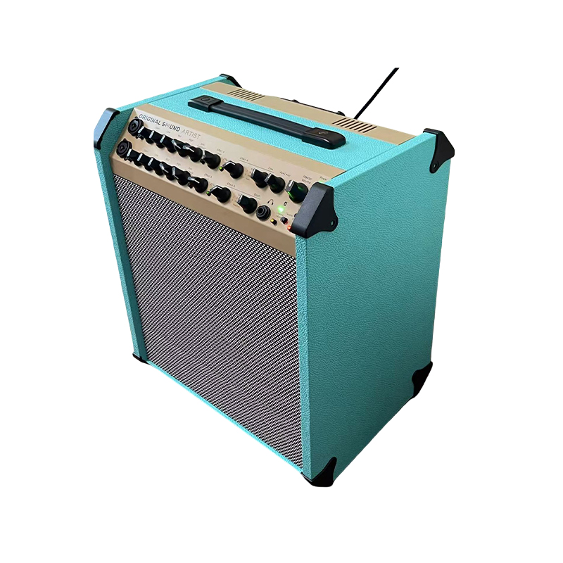 Acoustic Instrument Speakers