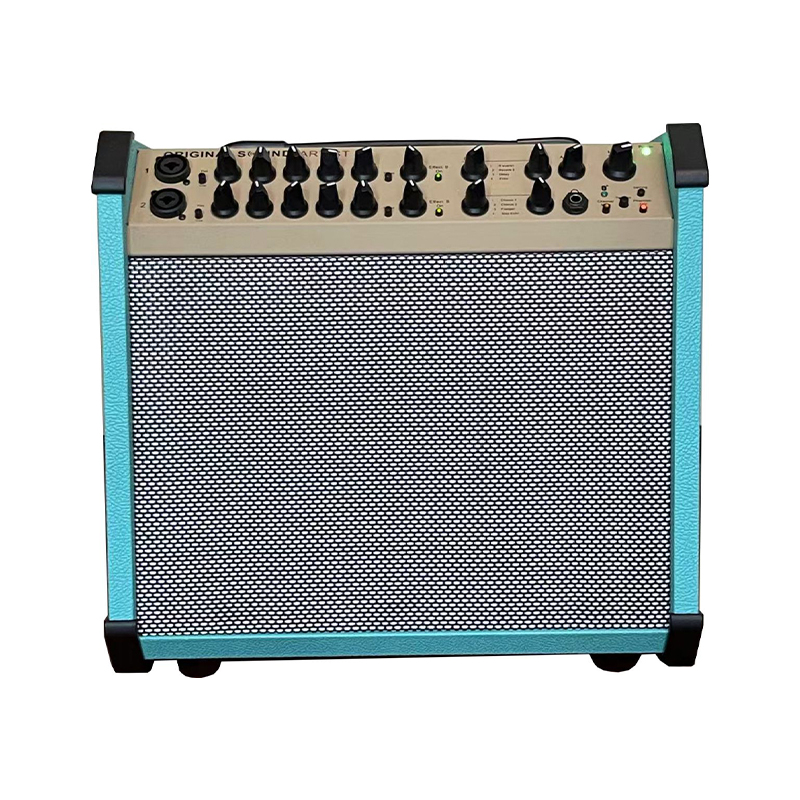 Acoustic Instrument Speakers OS-ACES140