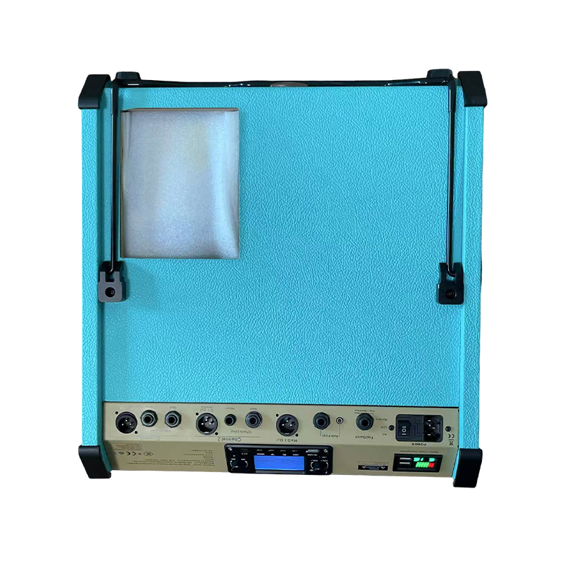 Acoustic Instrument Speakers