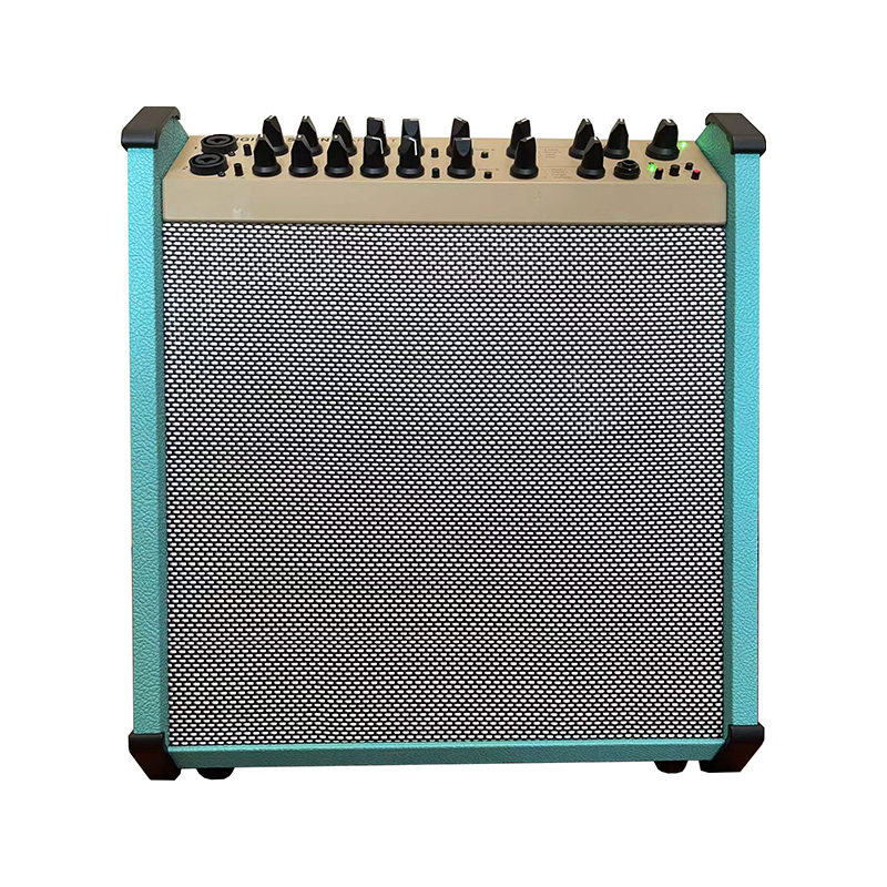 Acoustic Instrument Speakers