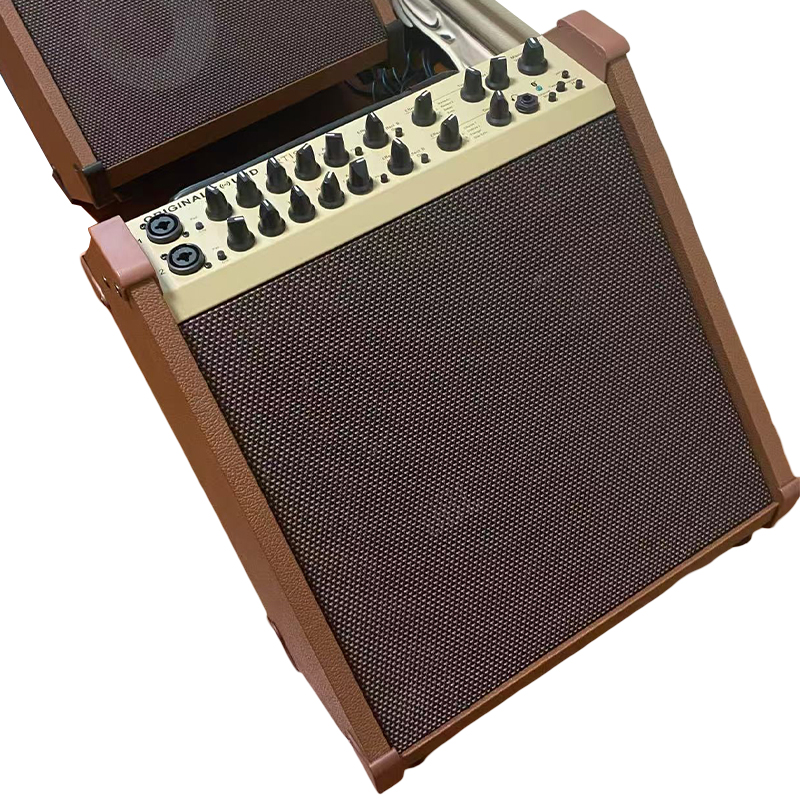 Acoustic Instrument Speakers