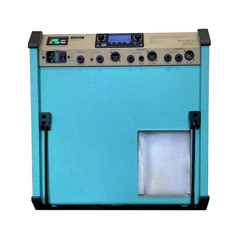 Acoustic Instrument Speakers