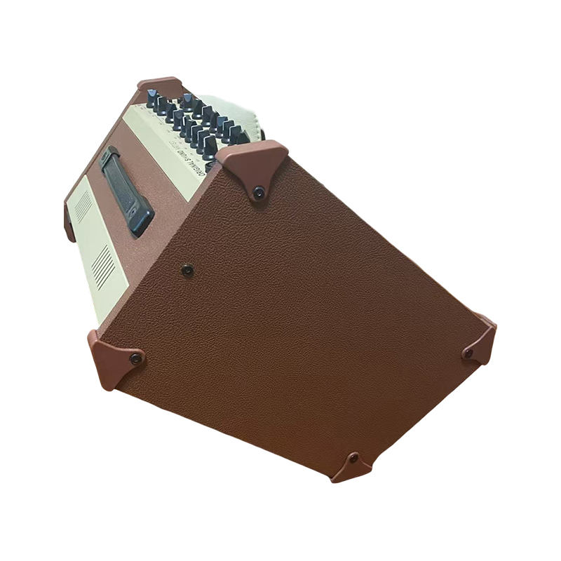 Acoustic Instrument Speakers