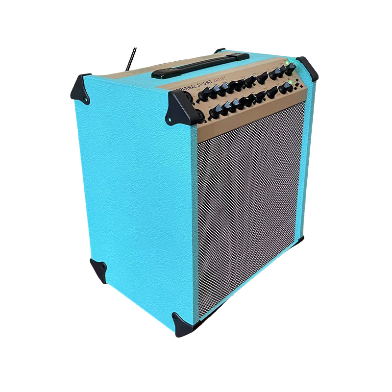 Acoustic Instrument Speakers